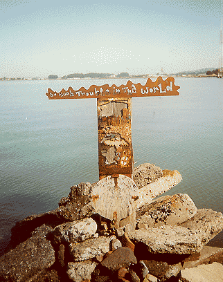 poetry without permit, unsigned, featured on the shoreline at the Albany Bulb; it reads, 'so much trouble in the world'...West Berkeley deserves better than the poor representation of political opportunists.