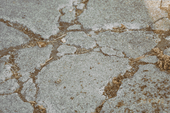 A deeply artistic fracture.